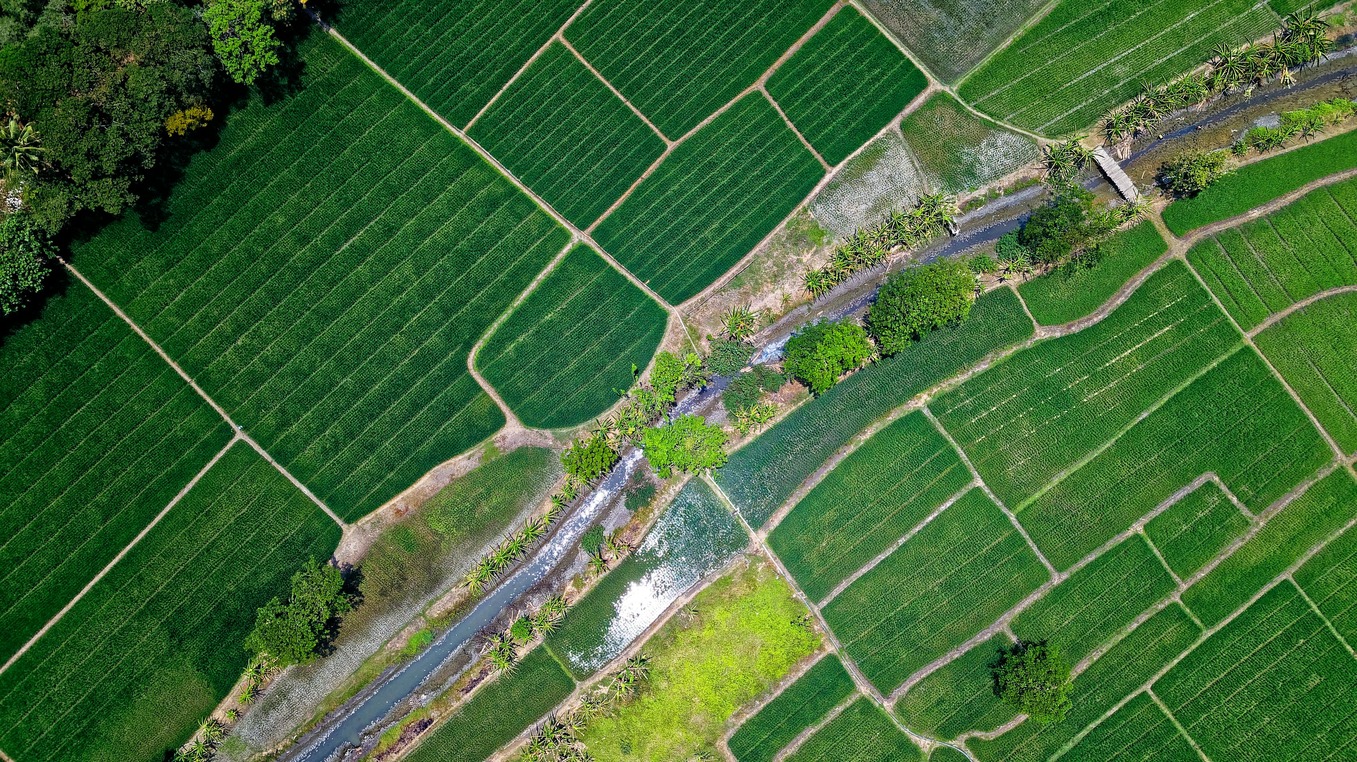 Agriculture